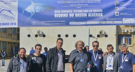 requin algerie|Requins en Algérie : le Ministère des pêches s’implique